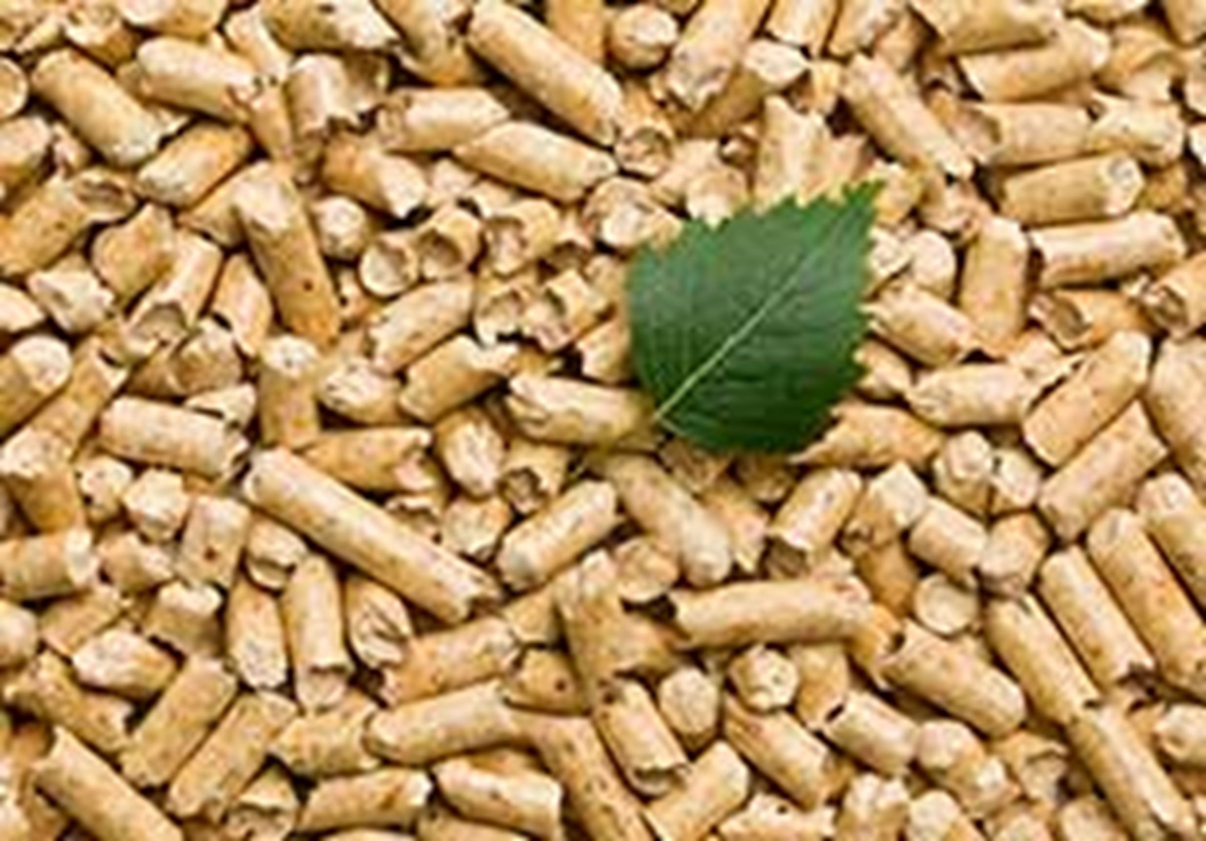 pellets biomasa